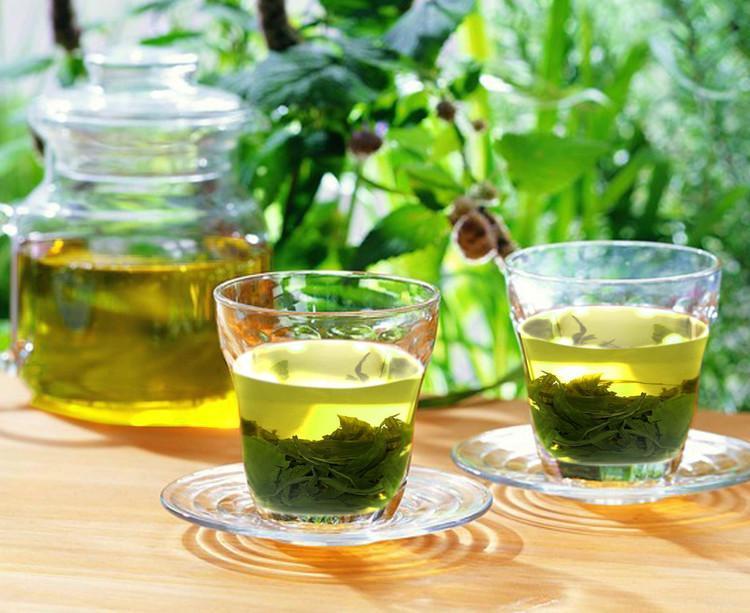 Tinh dầu trà giúp ngừa mụn