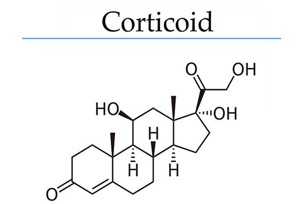 Corticoid là thuốc kháng viêm thuộc nhóm steroid